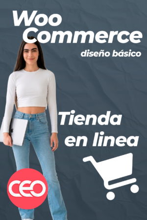 DISEÑO WCB Diseño de Tienda Online Básico